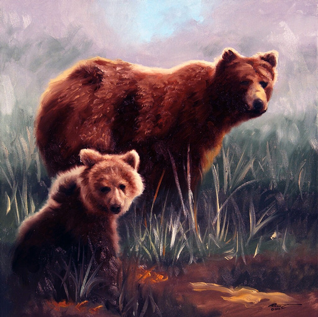 Wildlife - Bears