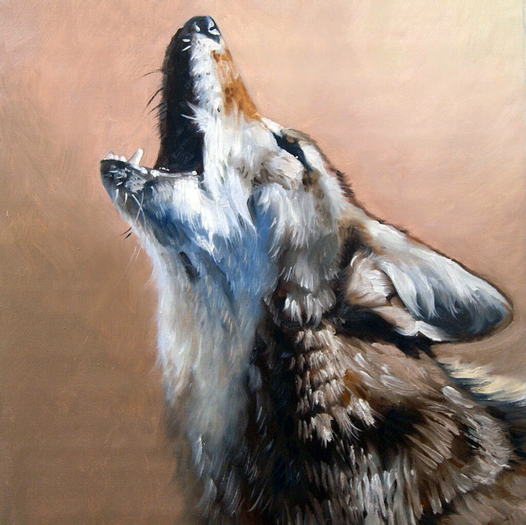 Wildlife - Wolves, Coyotes