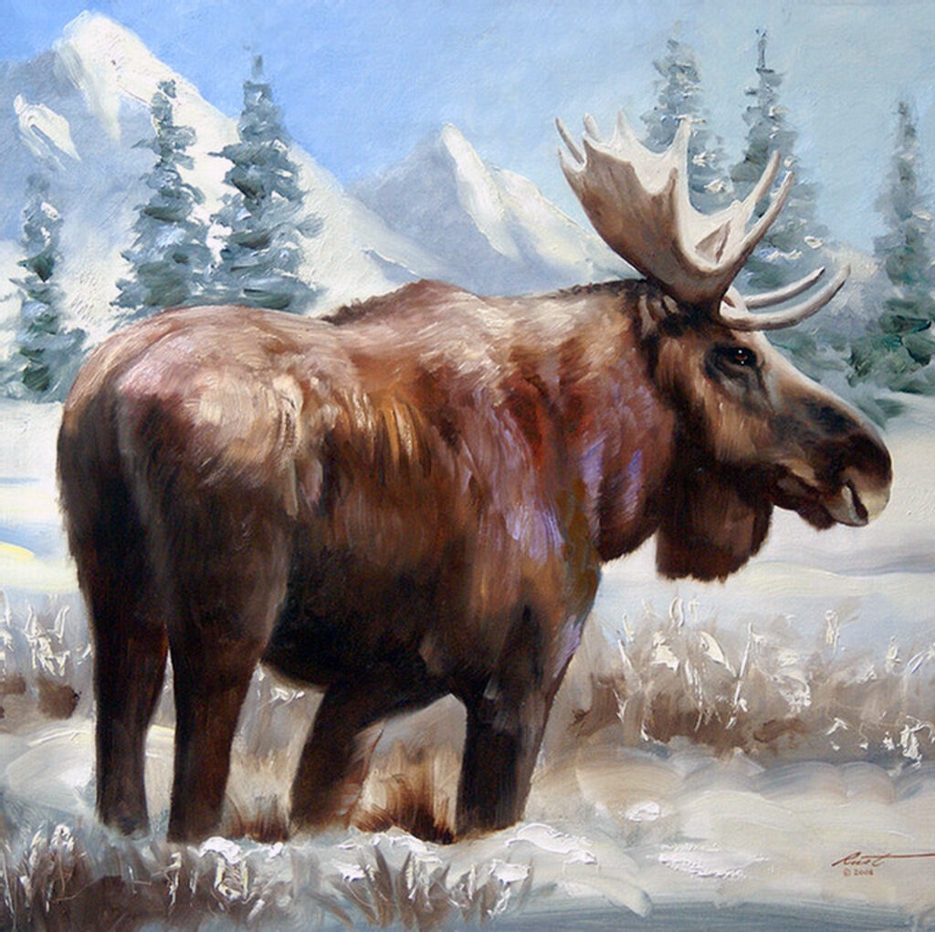 Wildlife - Deer, Elk, Moose