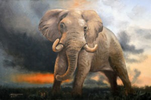 WER-E-199-ELEPHANT